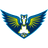 Dallas Wings logo
